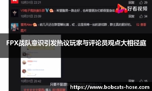 FPX战队意识引发热议玩家与评论员观点大相径庭
