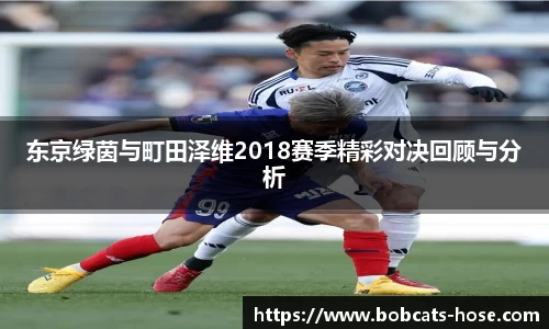 球王会体育